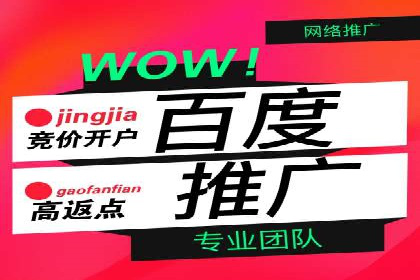 竞价推广公司案例分析：成功案例解析